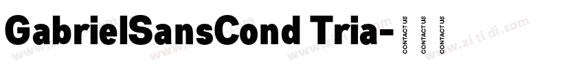 GabrielSansCond Tria字体转换